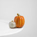 Nora Fleming : Pumpkin Spice Mini -