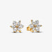 PANDORA : Sparkling Herbarium Cluster Stud Earrings - PANDORA : Sparkling Herbarium Cluster Stud Earrings