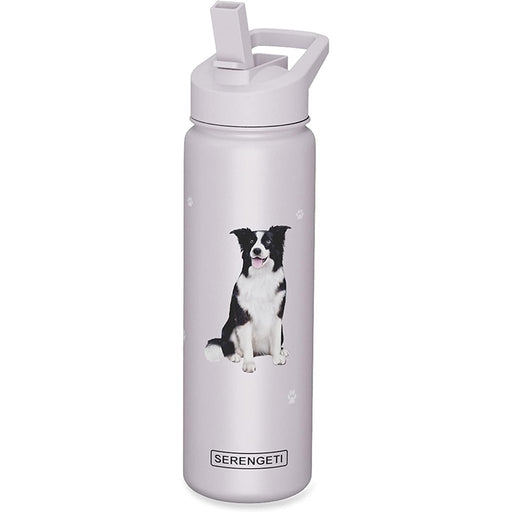 Hydro Flask Moose's Bear Tooth Stainless Steel Reusable Tea Coffee