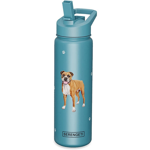 Lightning Bolts Aqua Kids Insulated Stainless Steel Water Bottle with Straw  + Reviews