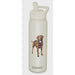 Serengeti Chocolate Labrador 24 oz Water Bottle - Serengeti Chocolate Labrador 24 oz Water Bottle