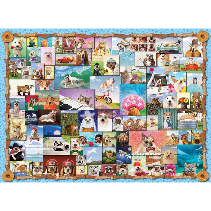 Springbok : Animal Quackers 1000 Piece Jigsaw Puzzle - Springbok : Animal Quackers 1000 Piece Jigsaw Puzzle - Annies Hallmark and Gretchens Hallmark, Sister Stores
