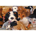 Springbok : Playtime Puppies 400 Piece Jigsaw Puzzle -