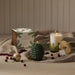 Thymes : Frasier Fir Petite Molded Pinecone Candl - Thymes : Frasier Fir Petite Molded Pinecone Candl