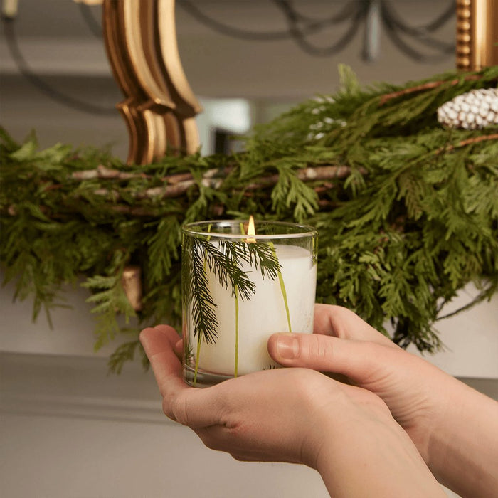 Thymes : Frasier Fir Pine Needle Candle - Thymes : Frasier Fir Pine Needle Candle - Annies Hallmark and Gretchens Hallmark, Sister Stores