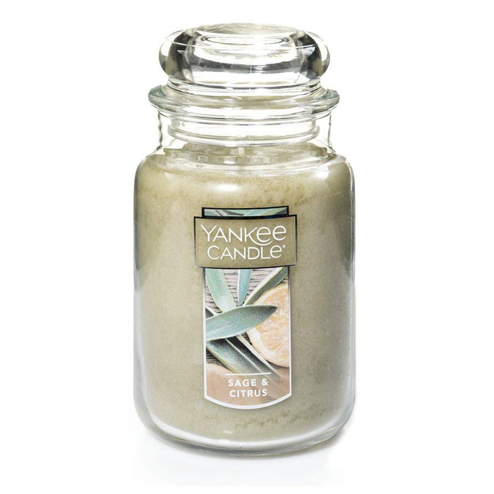 Yankee Candle : Large Classic Jar in Sage & Citrus -