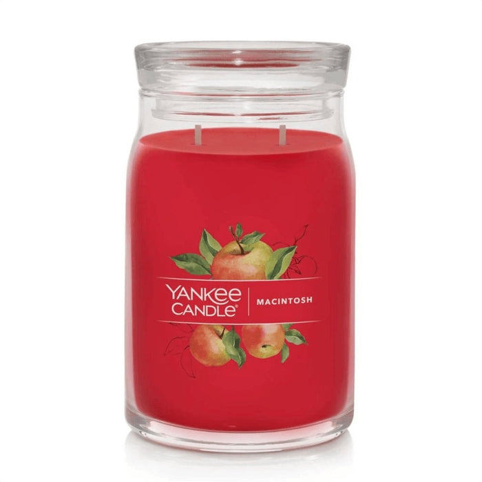 Yankee Candle : Signature Large Jar Candle in Macintosh -