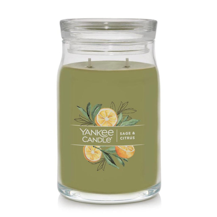Yankee Candle : Signature Large Jar Candle in Sage & Citrus -