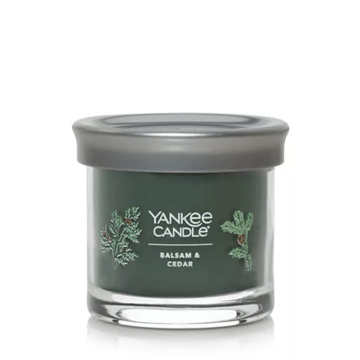 Yankee Candle : Signature Small Tumbler Candle in Balsam & Cedar - Yankee Candle : Signature Small Tumbler Candle in Balsam & Cedar - Annies Hallmark and Gretchens Hallmark, Sister Stores