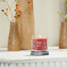 Yankee Candle : Signature Small Tumbler Candle in Sparkling Cinnamon - Yankee Candle : Signature Small Tumbler Candle in Sparkling Cinnamon