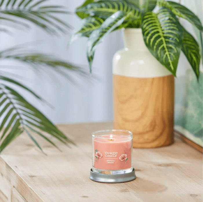 Yankee Candle : Signature Small Tumbler Candle in Tropical Breeze -