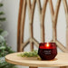 Yankee Candle : Studio Collection Candles in Holiday Zest - Yankee Candle : Studio Collection Candles in Holiday Zest